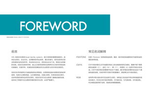 品牌VI設計與軟件開發 自由自在品牌管理的雙翼